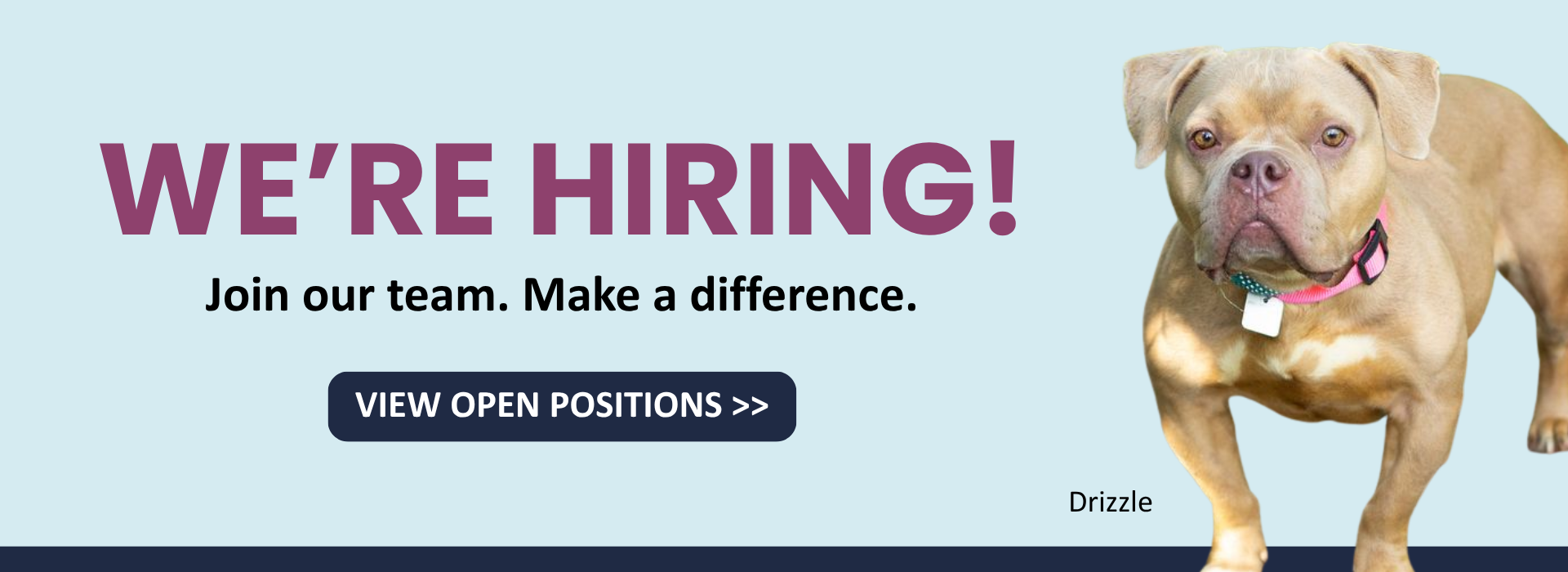 AFHS Now Hiring
